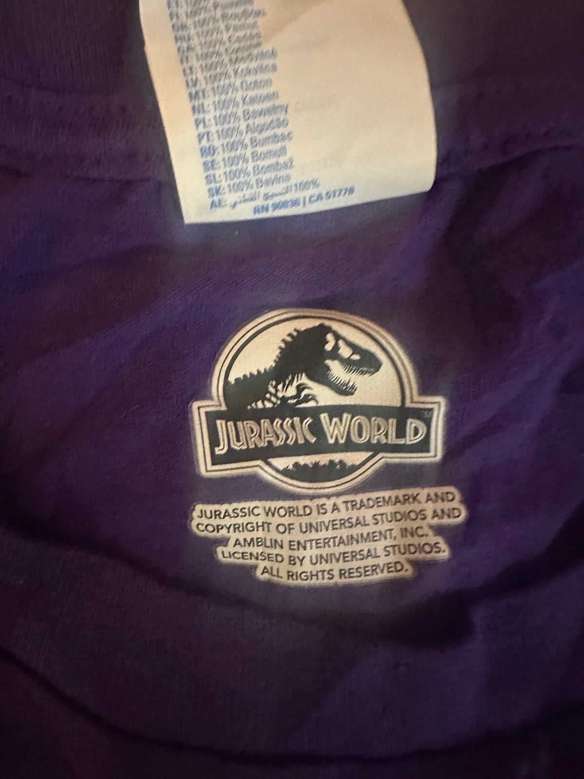Jurassic Park T-Shirt Sz XL Purple Distressed Logo Tee Jurassic World Licensed